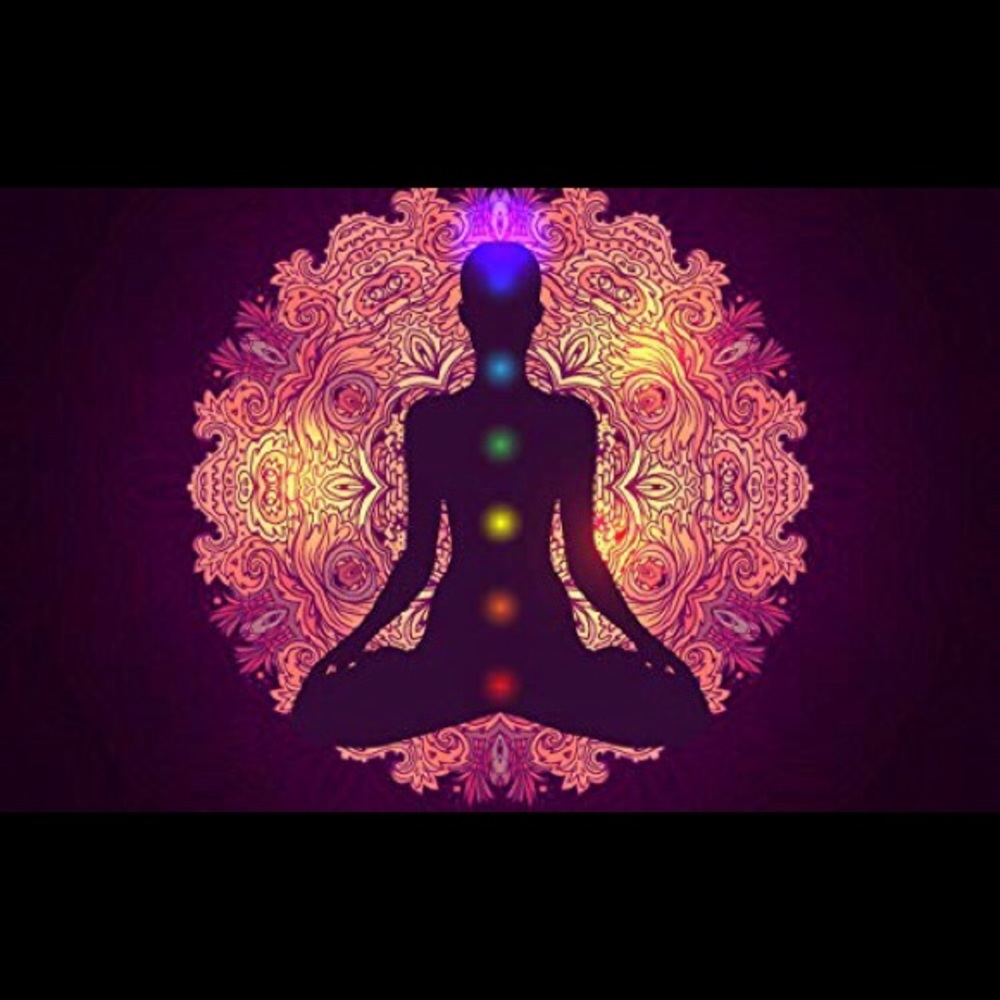 Meet your Posher, Chantell